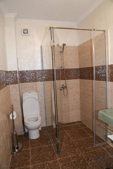 Фото номера Двухместный номер с 1 кроватью Гостевой дом Oli House г. Алба-Юлия 6