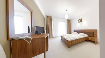 Фото номера Одноместный номер Отель Hotel Mariss г. Алба-Юлия 3