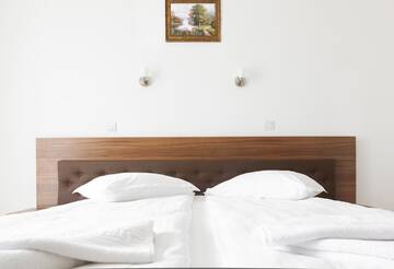 Фото номера Одноместный номер Отель Hotel Mariss г. Алба-Юлия 8