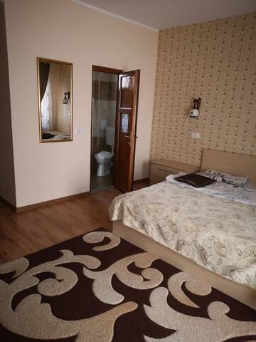 Фото Отель Camere-Apartament Steyna г. Алба-Юлия 4