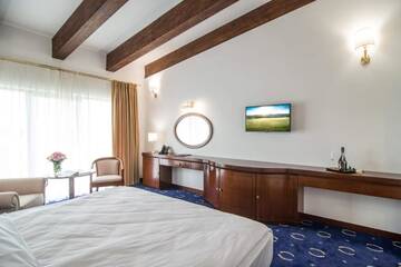 Фото номера Двухместный номер с 1 кроватью Отель Theodora Golf Club г. Алба-Юлия 6