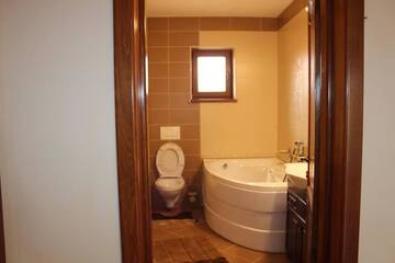 Фото номера Вилла Делюкс Виллы Alba Guest Residence г. Алба-Юлия 18