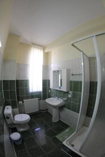 Фото номера Двухместный номер с 1 кроватью или 2 отдельными кроватями Гостевой дом Casa Traiana г. Алба-Юлия 16
