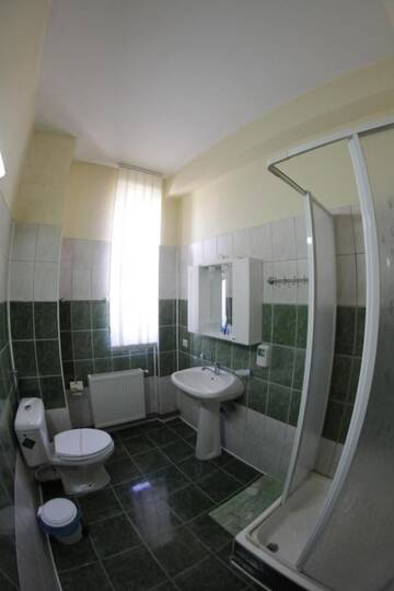 Фото номера Двухместный номер с 1 кроватью или 2 отдельными кроватями Гостевой дом Casa Traiana г. Алба-Юлия 9