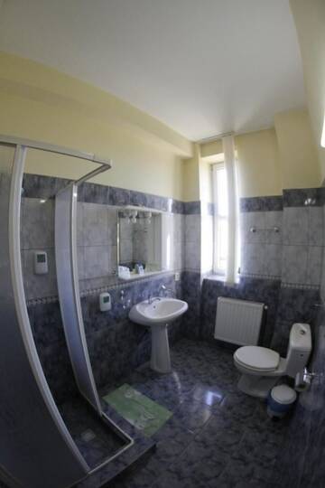 Фото номера Одноместный номер Гостевой дом Casa Traiana г. Алба-Юлия 8