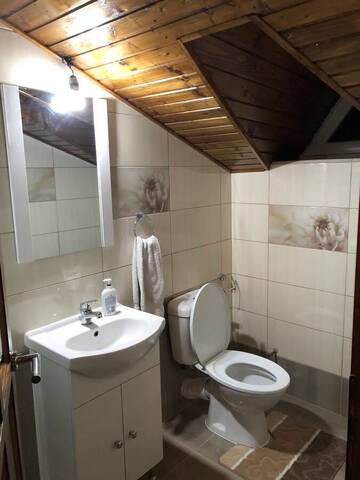Фото Проживание в семье Lidia House г. Алба-Юлия 5