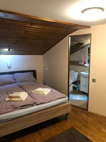 Фото номера Номер с кроватью размера «king-size» Проживание в семье Lidia House г. Алба-Юлия 7