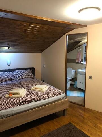 Фото номера Номер с кроватью размера «king-size» Проживание в семье Lidia House г. Алба-Юлия 3